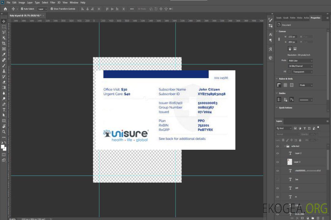 Carte d'assurance maladie du Mozambique template